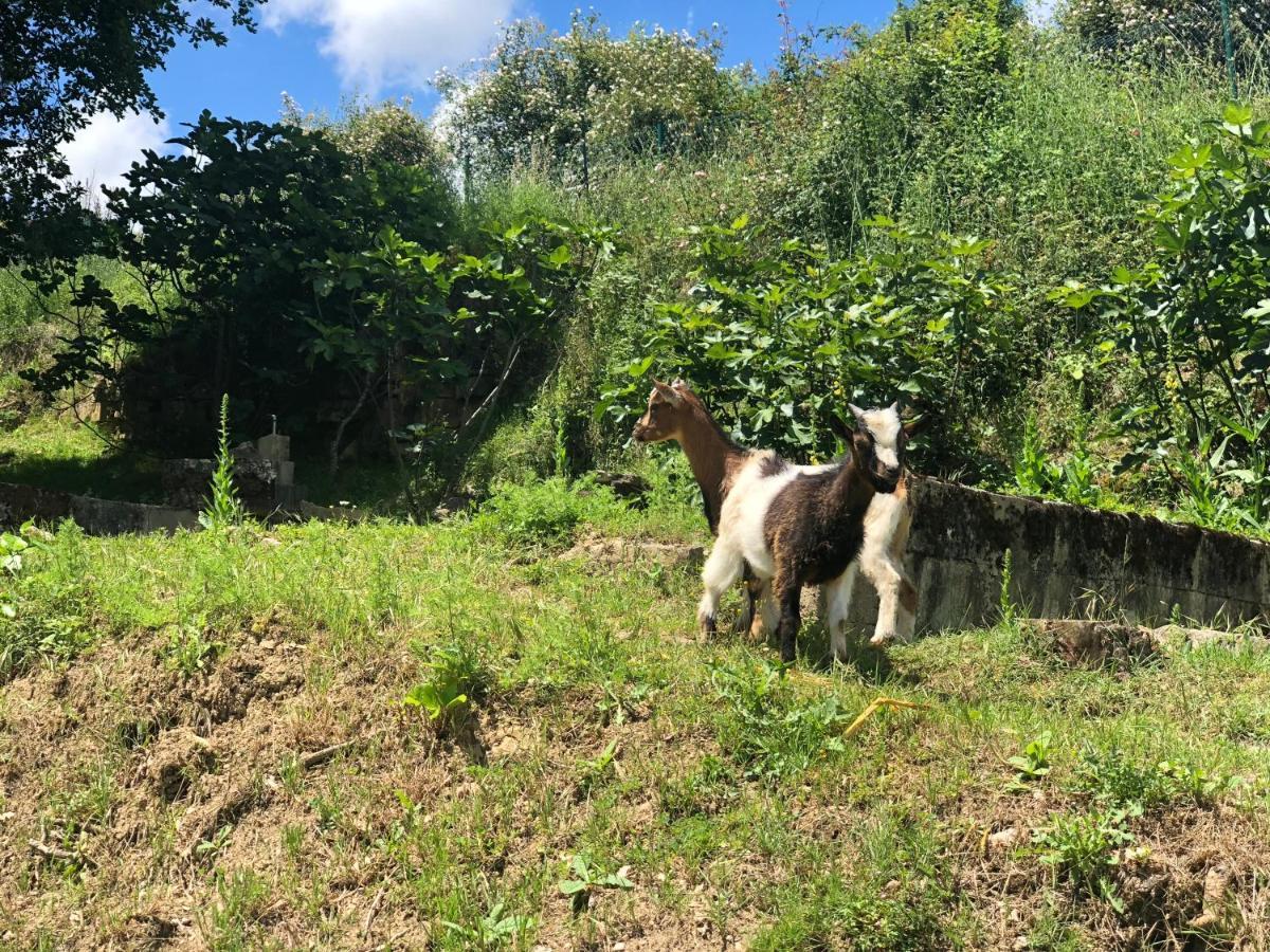 Eguillor Casa Rural En Plena Naturaleza Lic Uvtr1524 מראה חיצוני תמונה